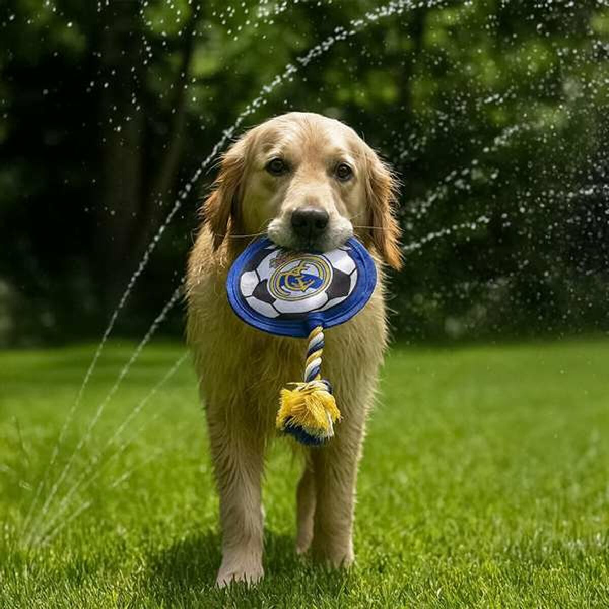 V2H835B40435DB7AA535D2A4869139F7404R6939435P9