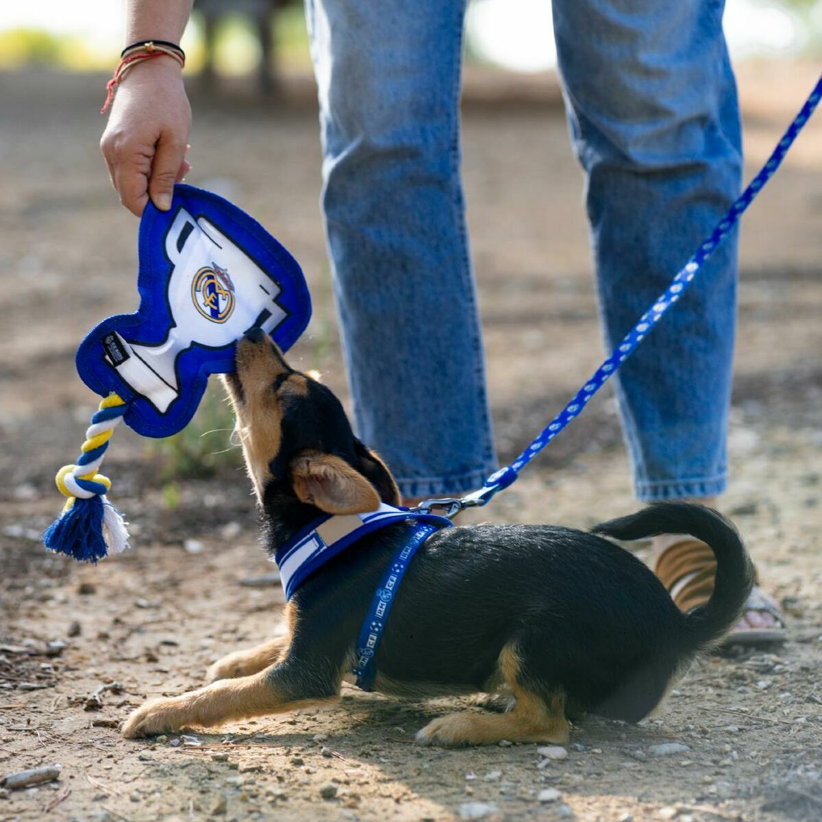 V2HEDB07B097C496A7BFB79664D74C62774R6939407P8