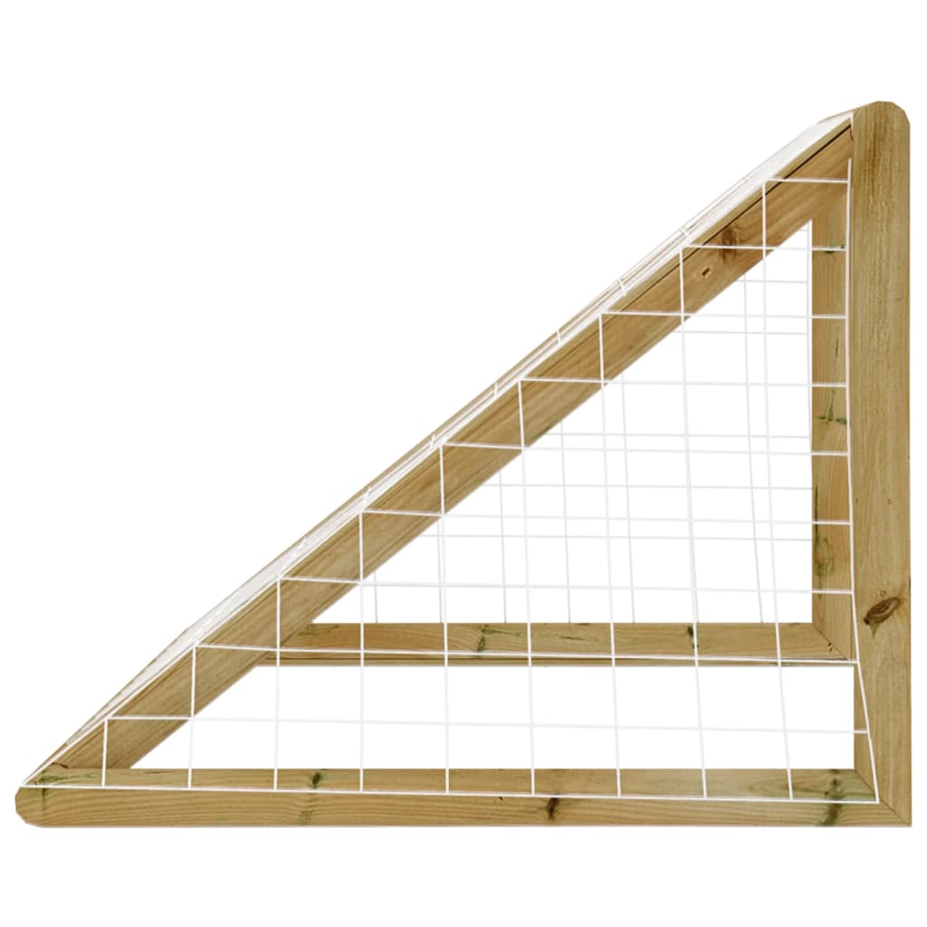 Futbolo vartai su tinklu, 160x80x100cm, impregnuota pušis