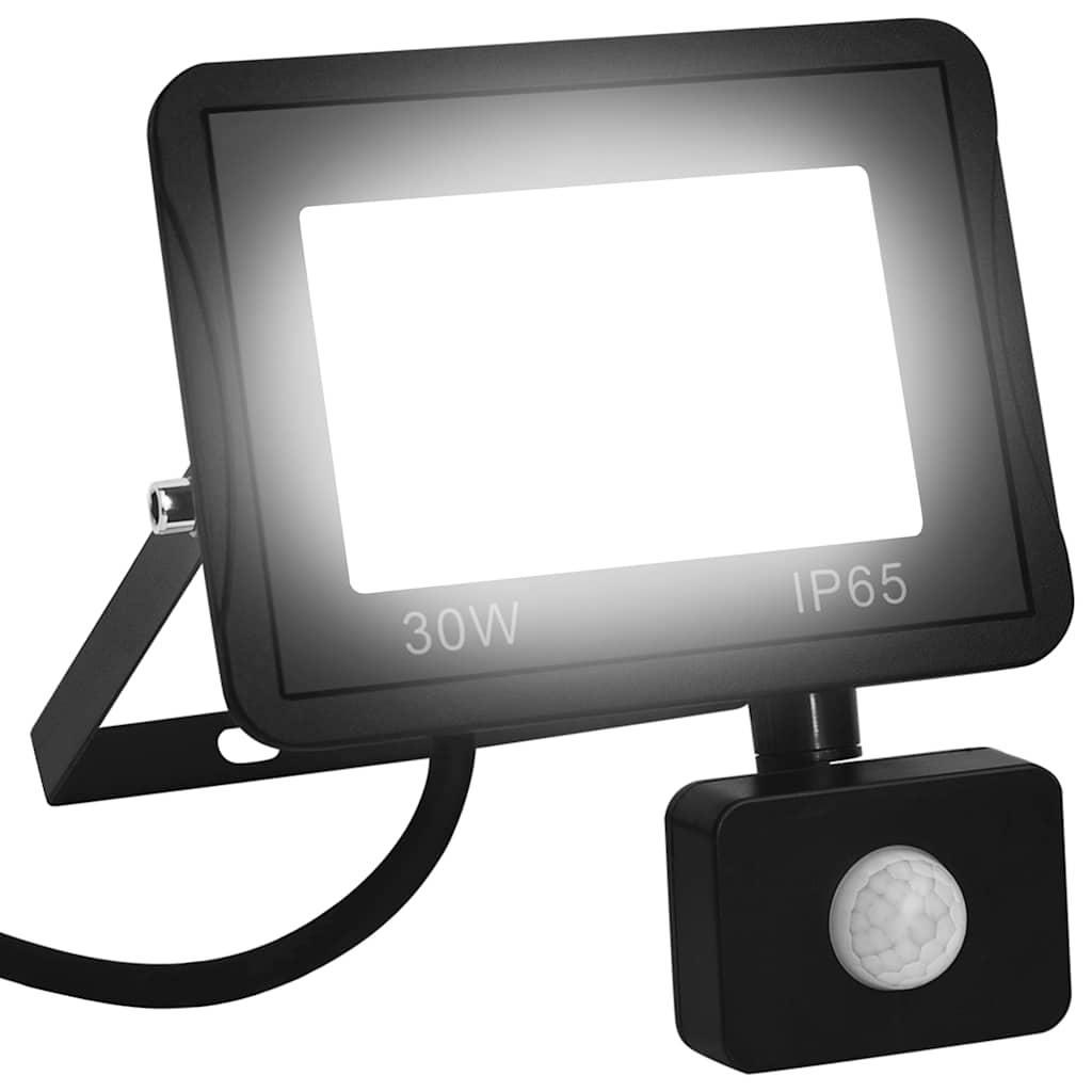 LED prožektorius su jutikliu, šaltos baltos spalvos, 30W