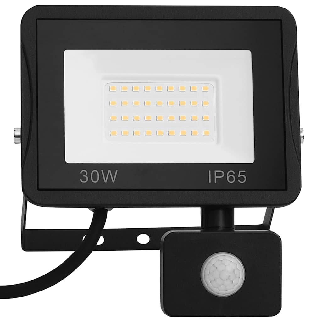 LED prožektorius su jutikliu, šaltos baltos spalvos, 30W