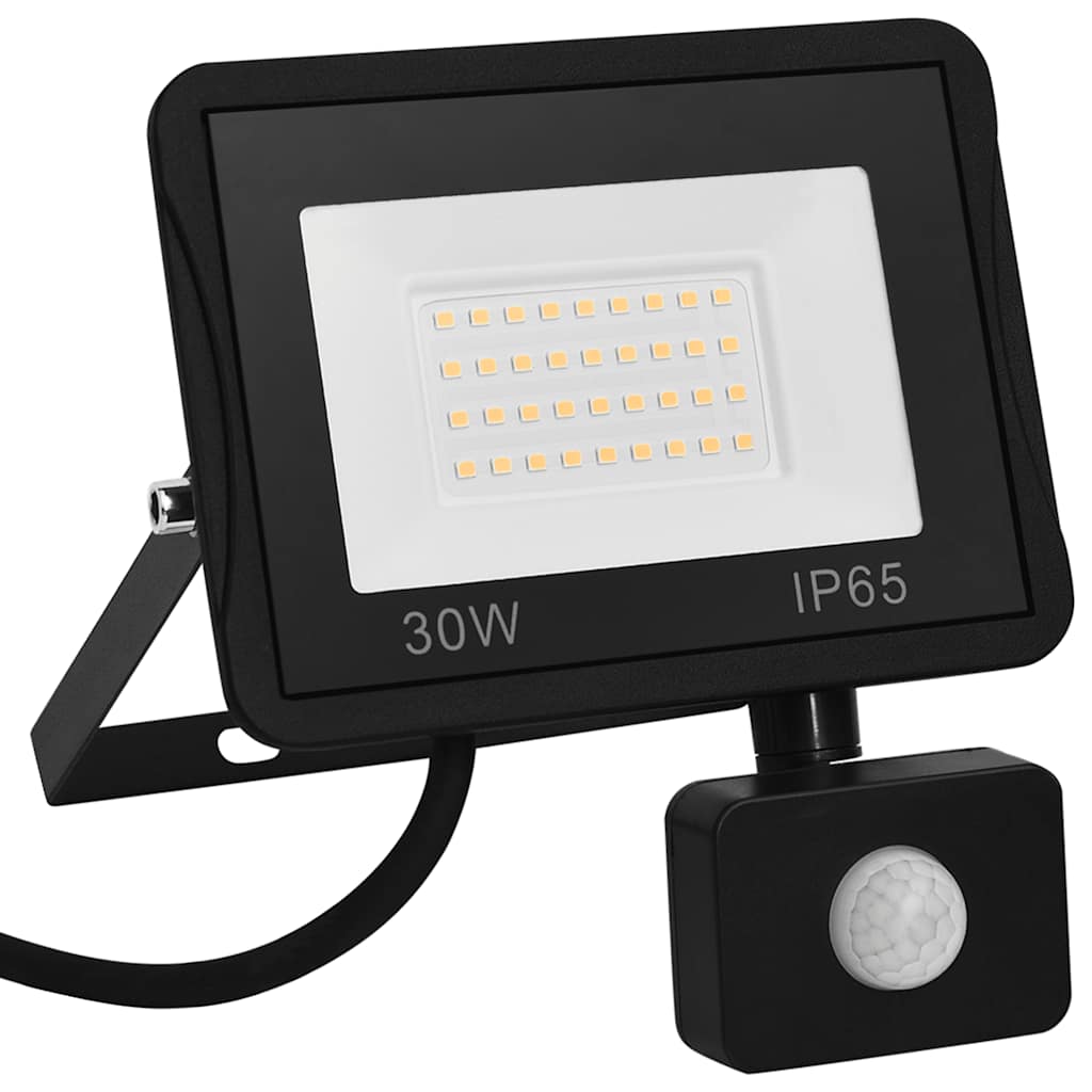 LED prožektorius su jutikliu, šaltos baltos spalvos, 30W