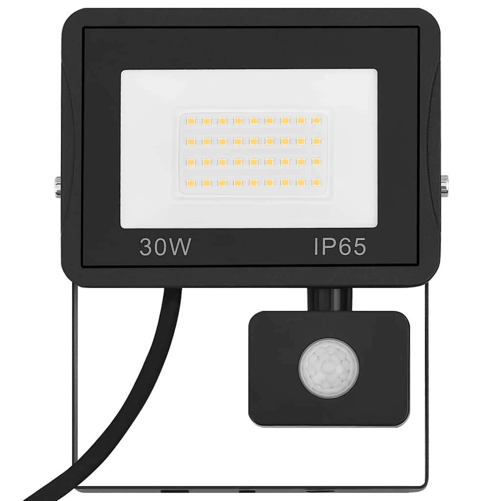 LED prožektorius su jutikliu, šaltos baltos spalvos, 30W