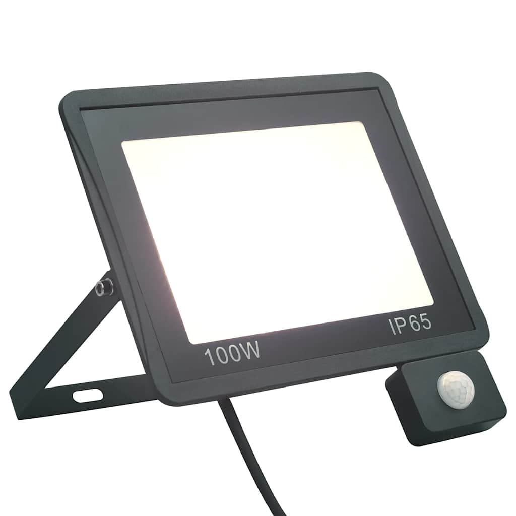 LED prožektorius su jutikliu, šaltos baltos spalvos, 100W
