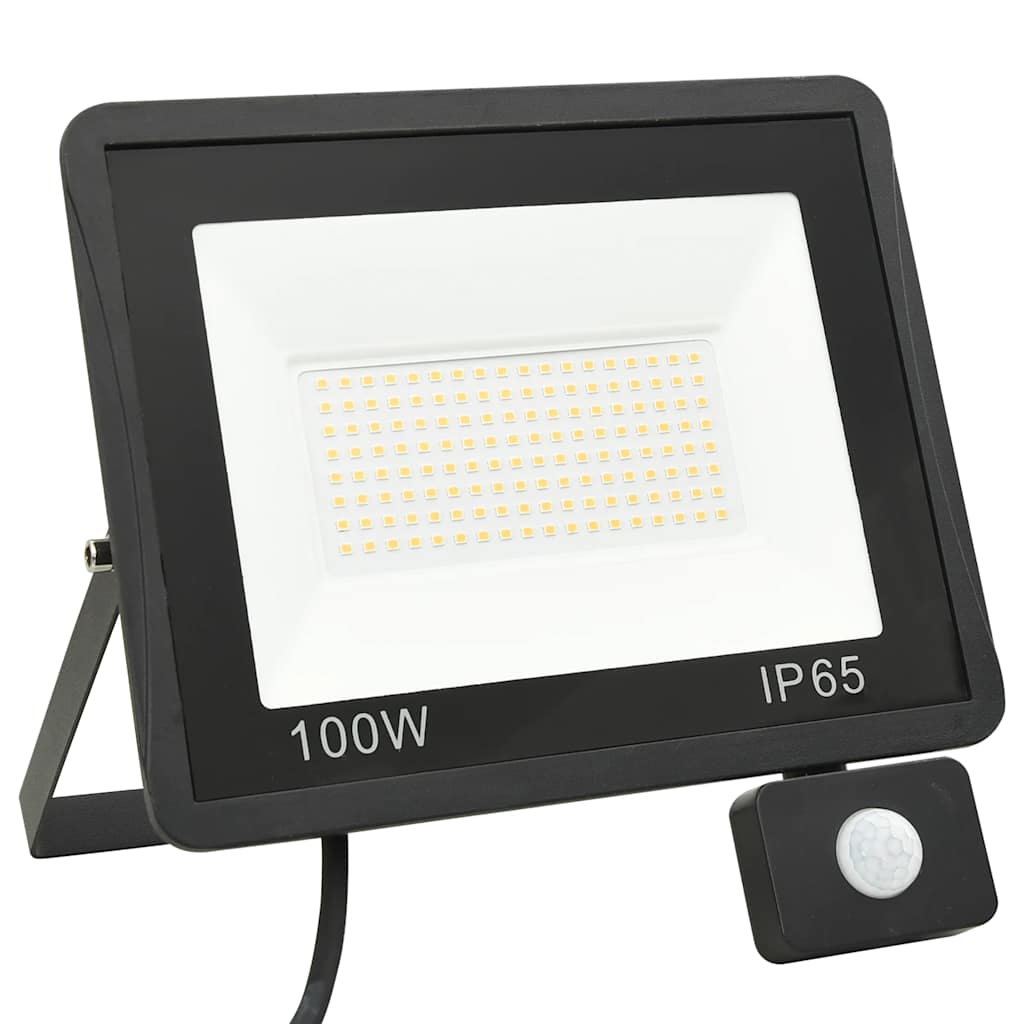 LED prožektorius su jutikliu, šaltos baltos spalvos, 100W