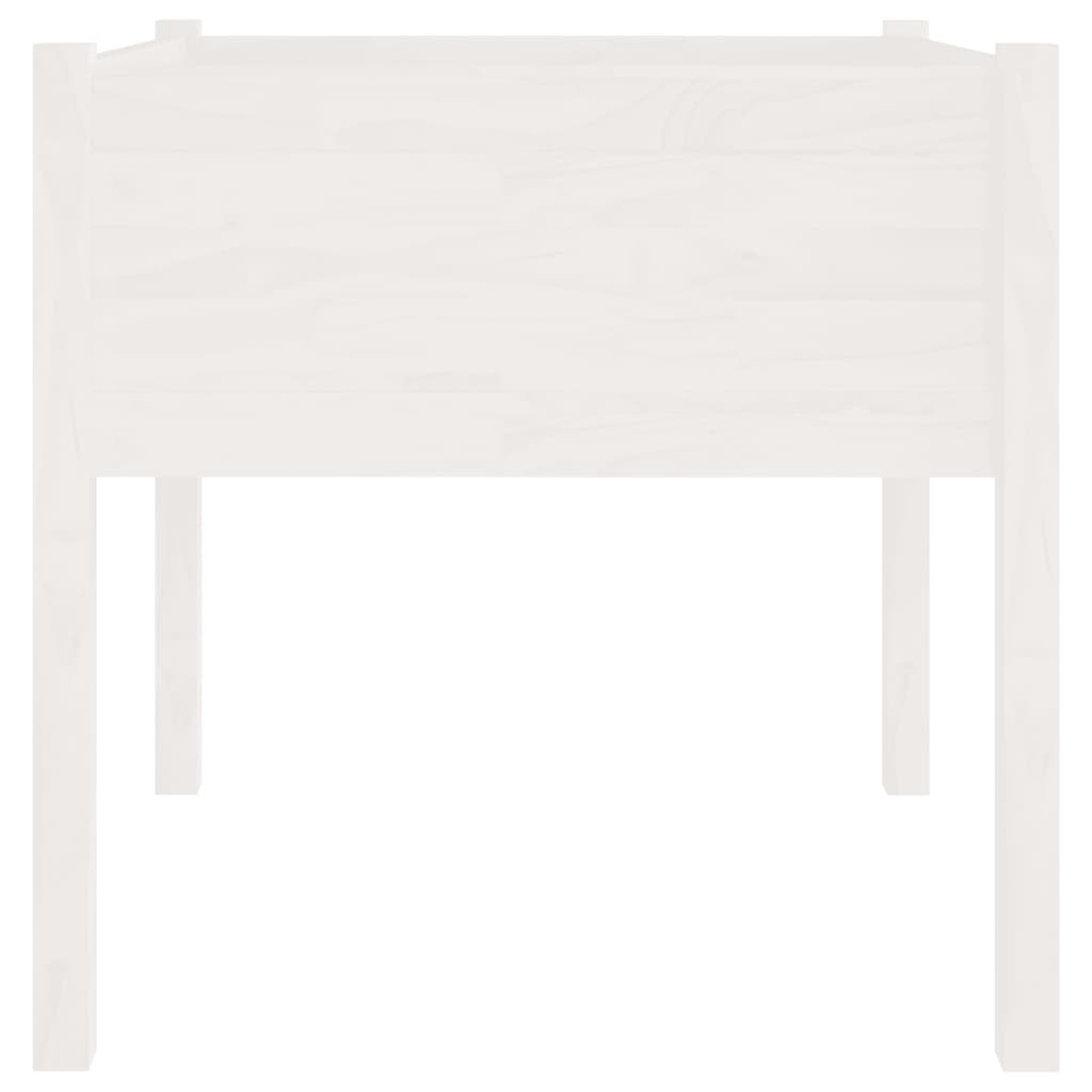 Sodo loveliai, 2vnt., balti, 70x70x70cm, pušies masyvas