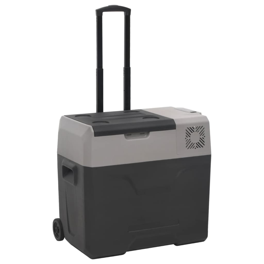Šaltdėžė su ratukais ir rankena, juoda ir pilka, 30l, PP