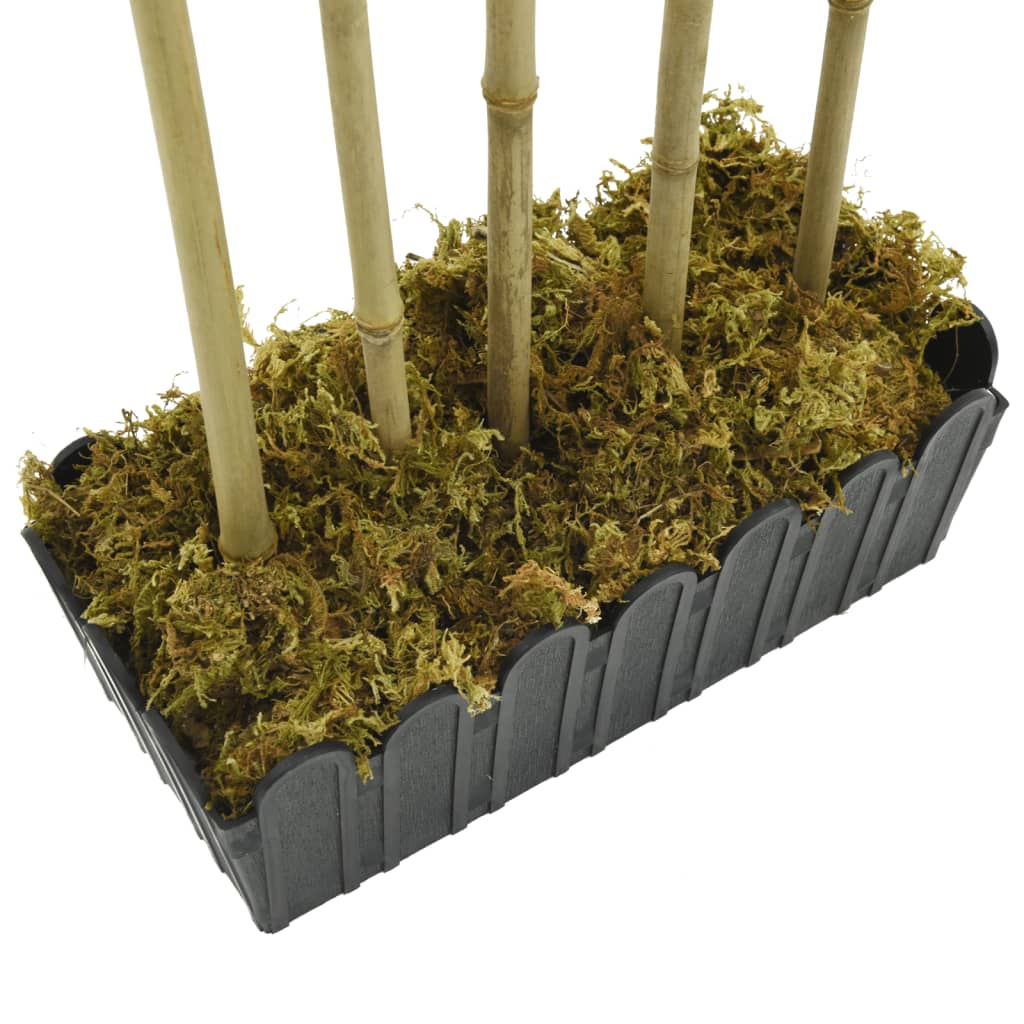 Dirbtinis bambukas, žalios spalvos, 120cm, 730 lapų