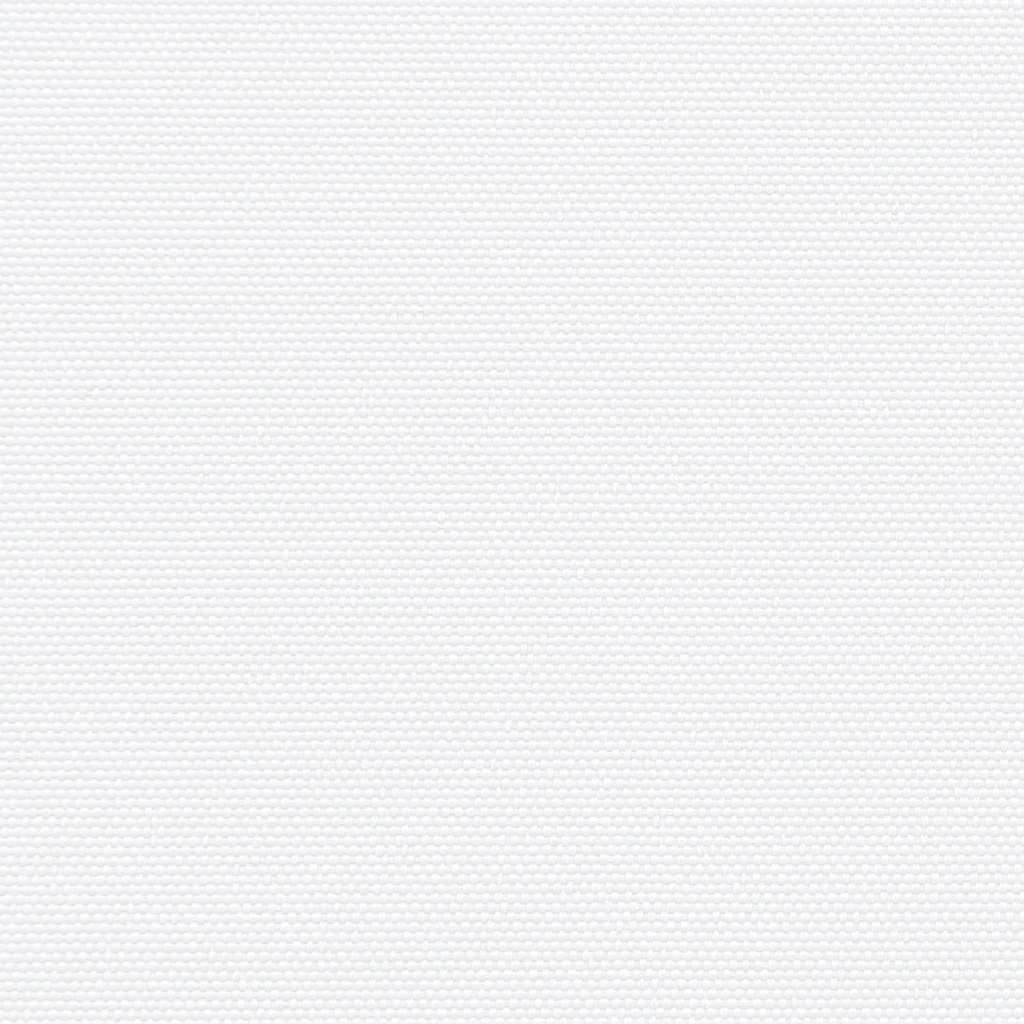 Ištraukiama šoninė markizė, baltos spalvos, 100x300cm