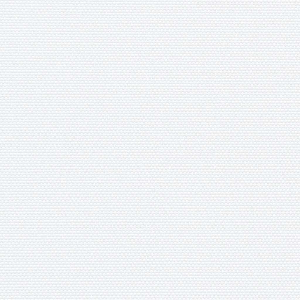 Ištraukiama šoninė markizė, baltos spalvos, 120x500cm
