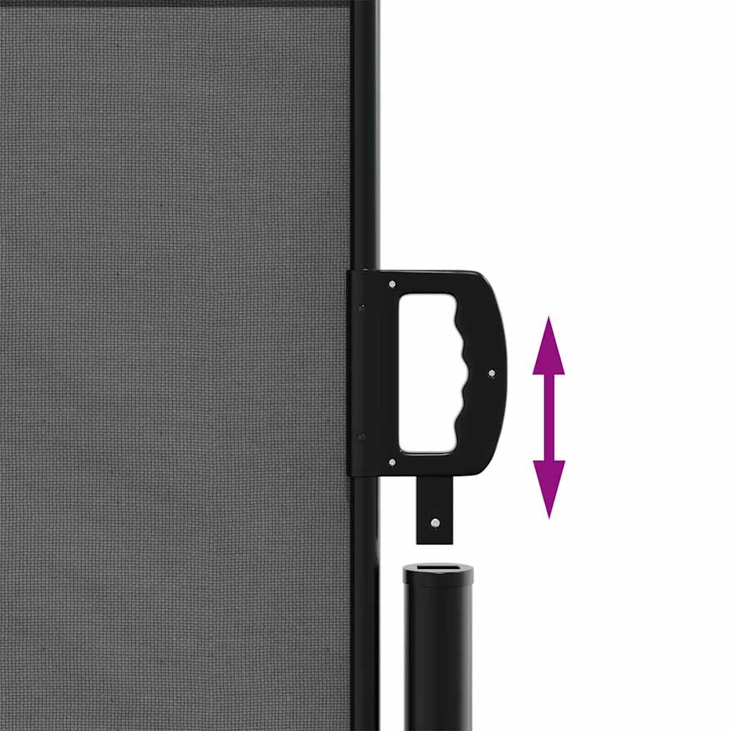 Ištraukiama šoninė markizė, antracito spalvos, 120x500 cm