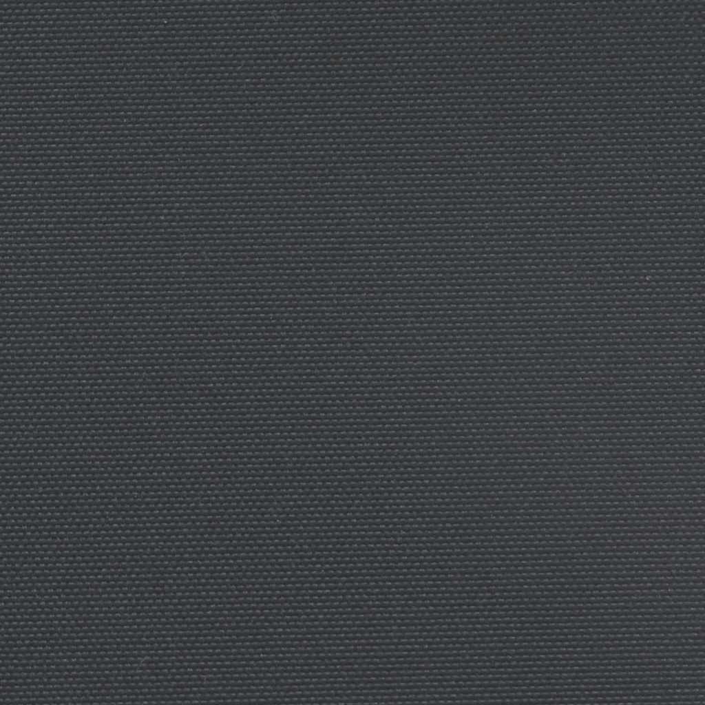 Ištraukiama šoninė markizė, juodos spalvos, 160x500cm
