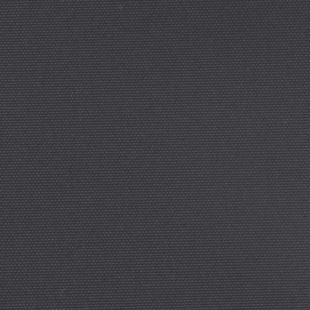 Ištraukiama šoninė markizė, juodos spalvos, 180x500cm