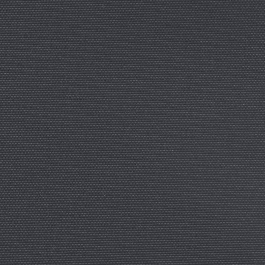 Ištraukiama šoninė markizė, juodos spalvos, 200x600cm