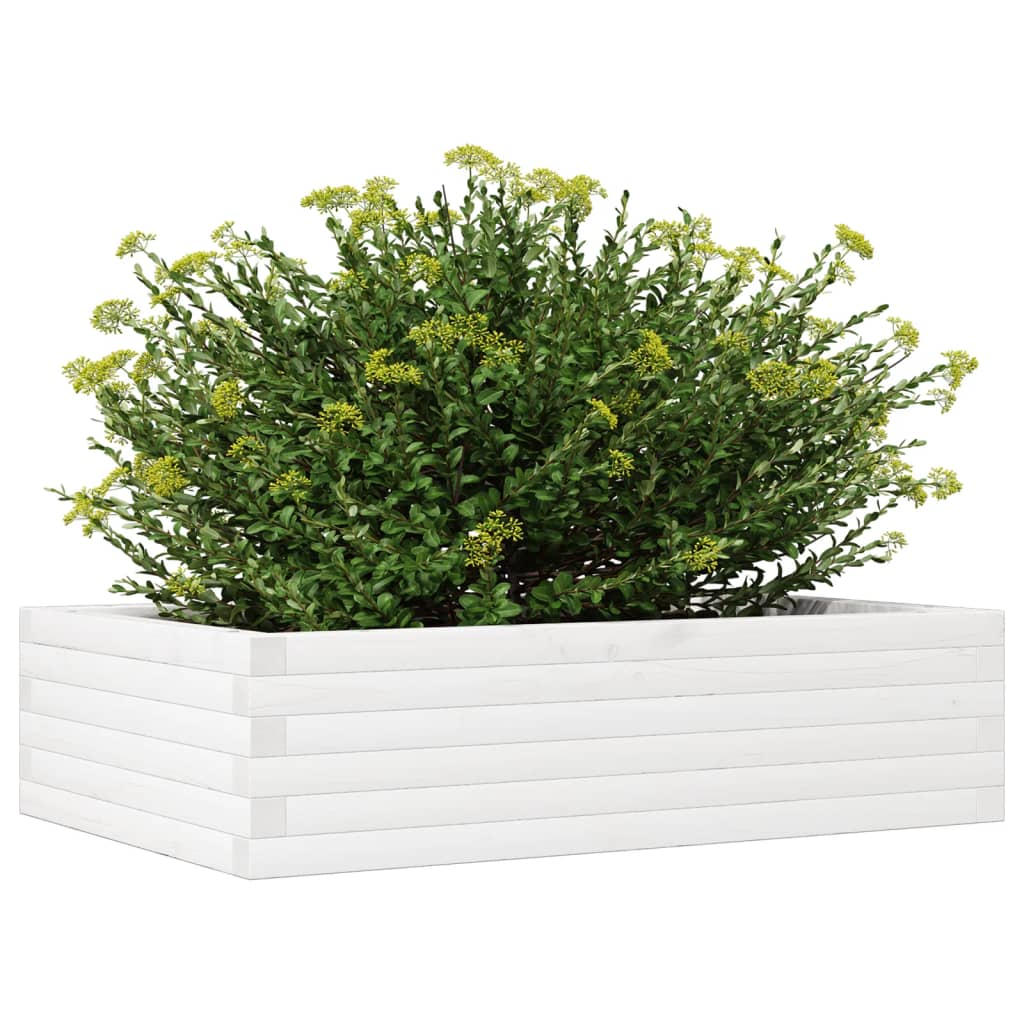 Sodo lovelis, baltas, 90x60x23cm, pušies medienos masyvas