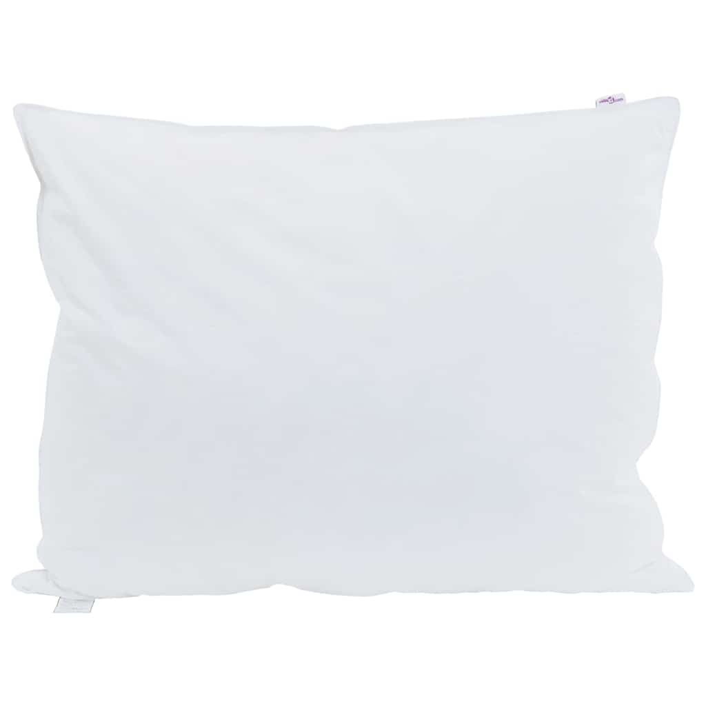 Pagalvė su pagalve 2 pcs Balta 60 x 80 cm Plunksna