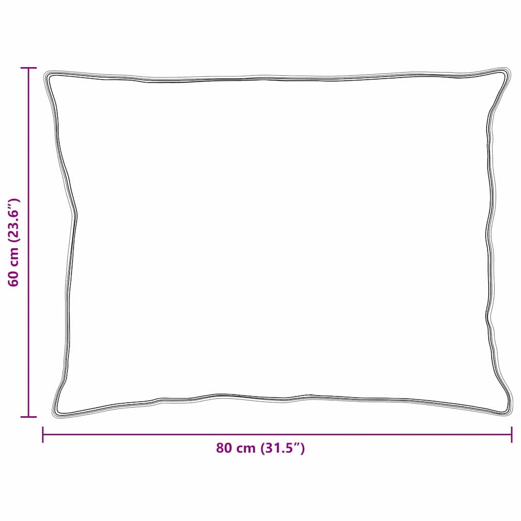 Pagalvė su pagalve 2 pcs Balta 60 x 80 cm Plunksna