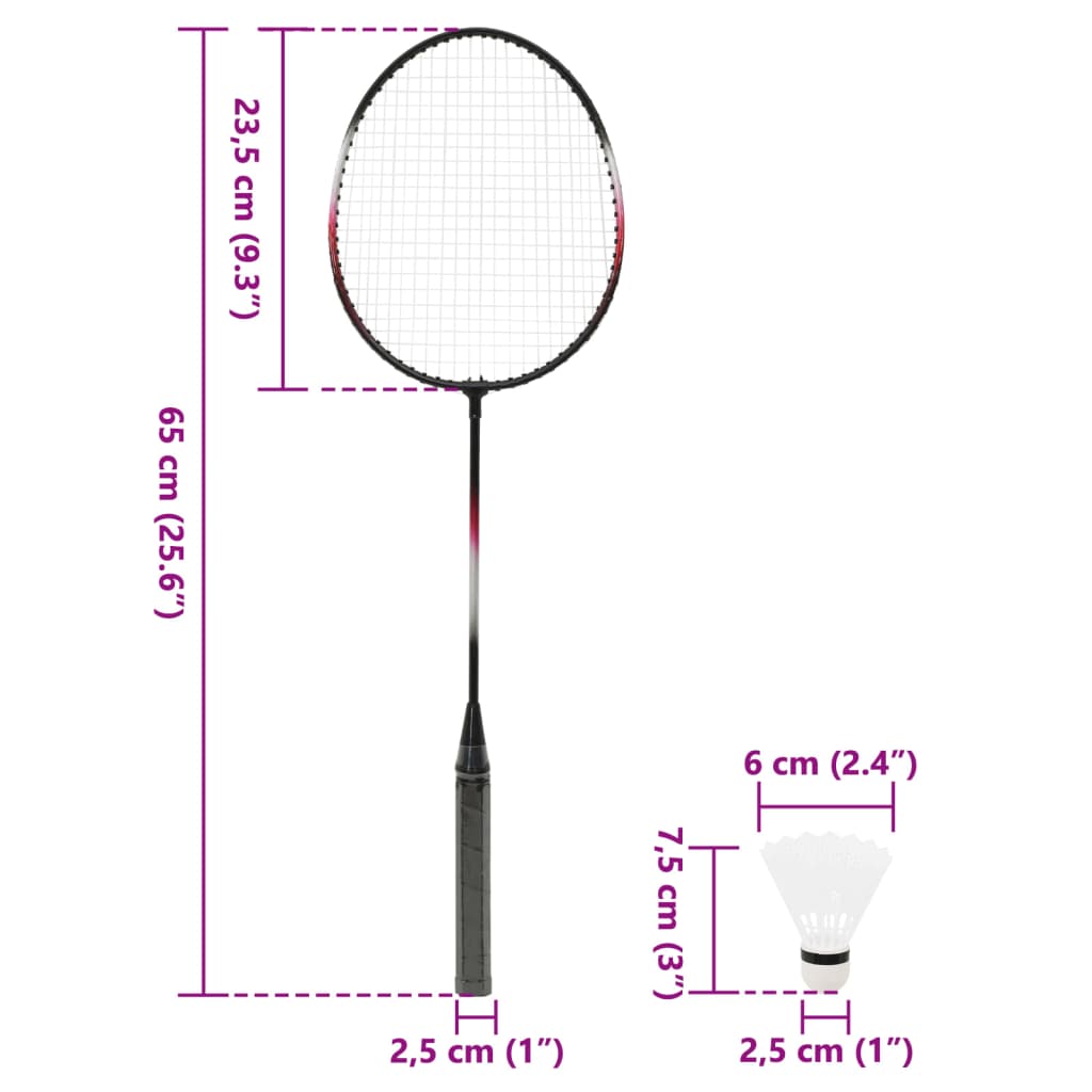 Badmintono rinkinys su 2 raketėmis/tinkleliu, 292x30x152cm