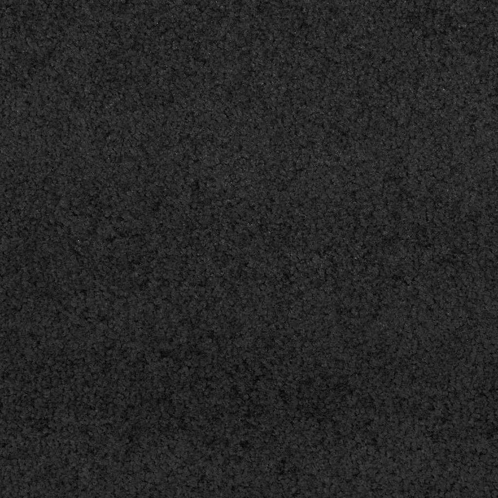 Skalbiamas durų kilimėlis Juodas 120x300 cm