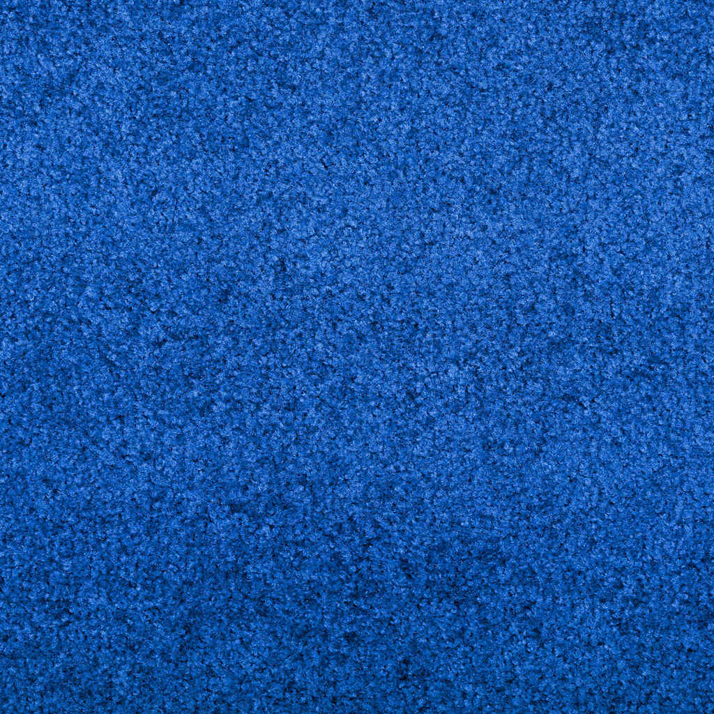 Mėlynas plaunamas durų kilimėlis 120x250 cm