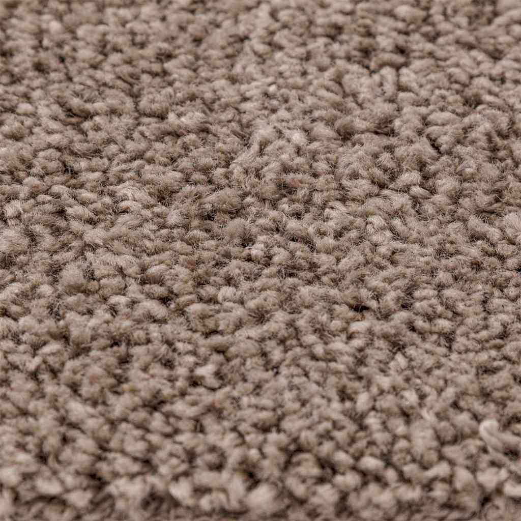 Neslystantis plaukuotas kilimas Ruda 200 x 290 cm PP