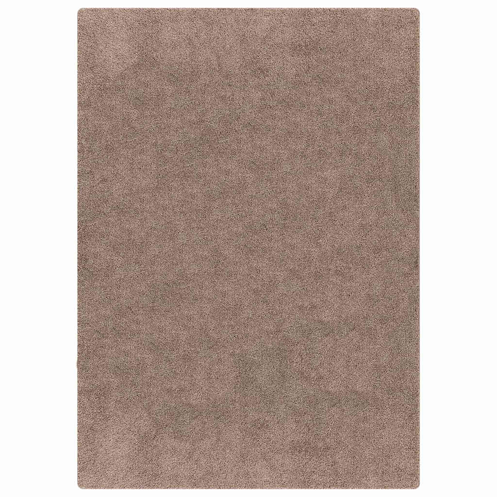 Neslystantis plaukuotas kilimas Ruda 200 x 290 cm PP