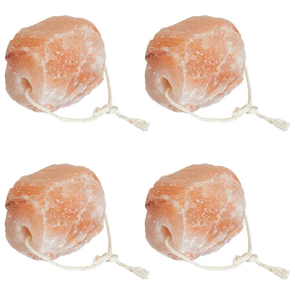 Druskos laižymo akmenys 4 pcs Rožinė Akmenys