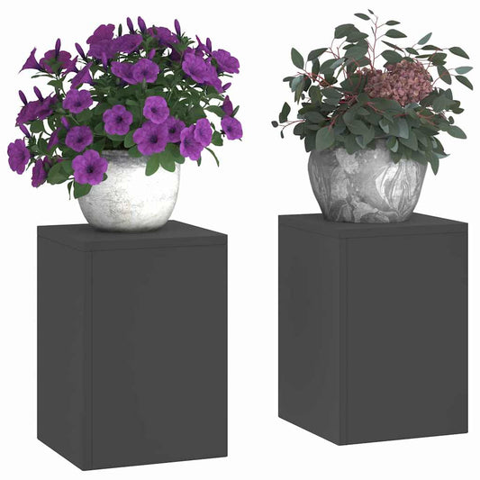 Augalų stovas 2 pcs Juoda 24 x 24 x 35 cm Plienas