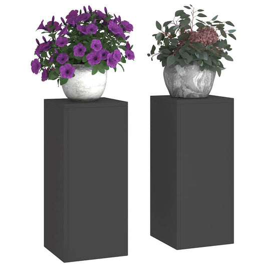 Augalų stovas 2 pcs Juoda 24 x 24 x 55 cm Plienas