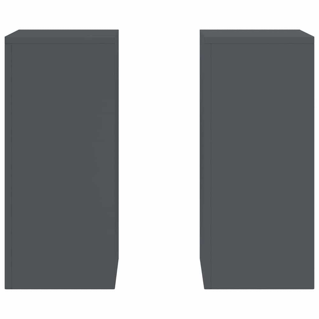 Augalų stovas 2 pcs Antracitas 24 x 24 x 55 cm Plienas