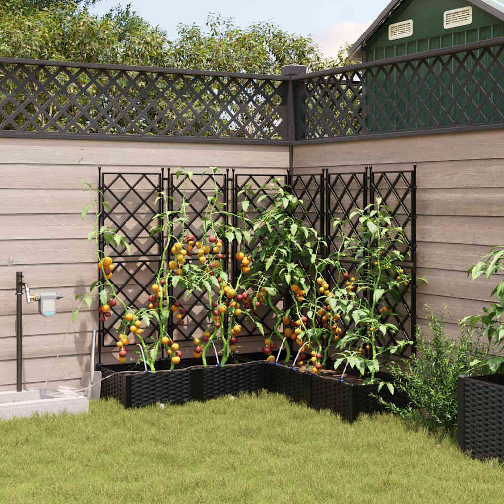 Sodo vazonas 5 pcs Juodas Plastmasė