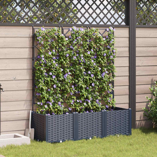Sodas vazonas su trellis 3 pcs Pilka 120 x 40 x 143 cm PP