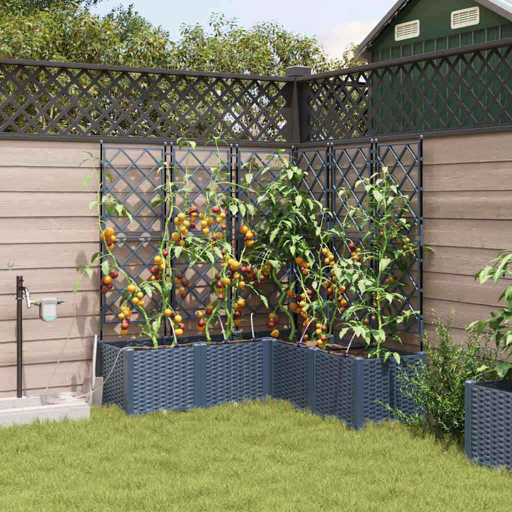 Sodo vazonas 3 vnt. Pilka 80 x 80 x 143 cm PP