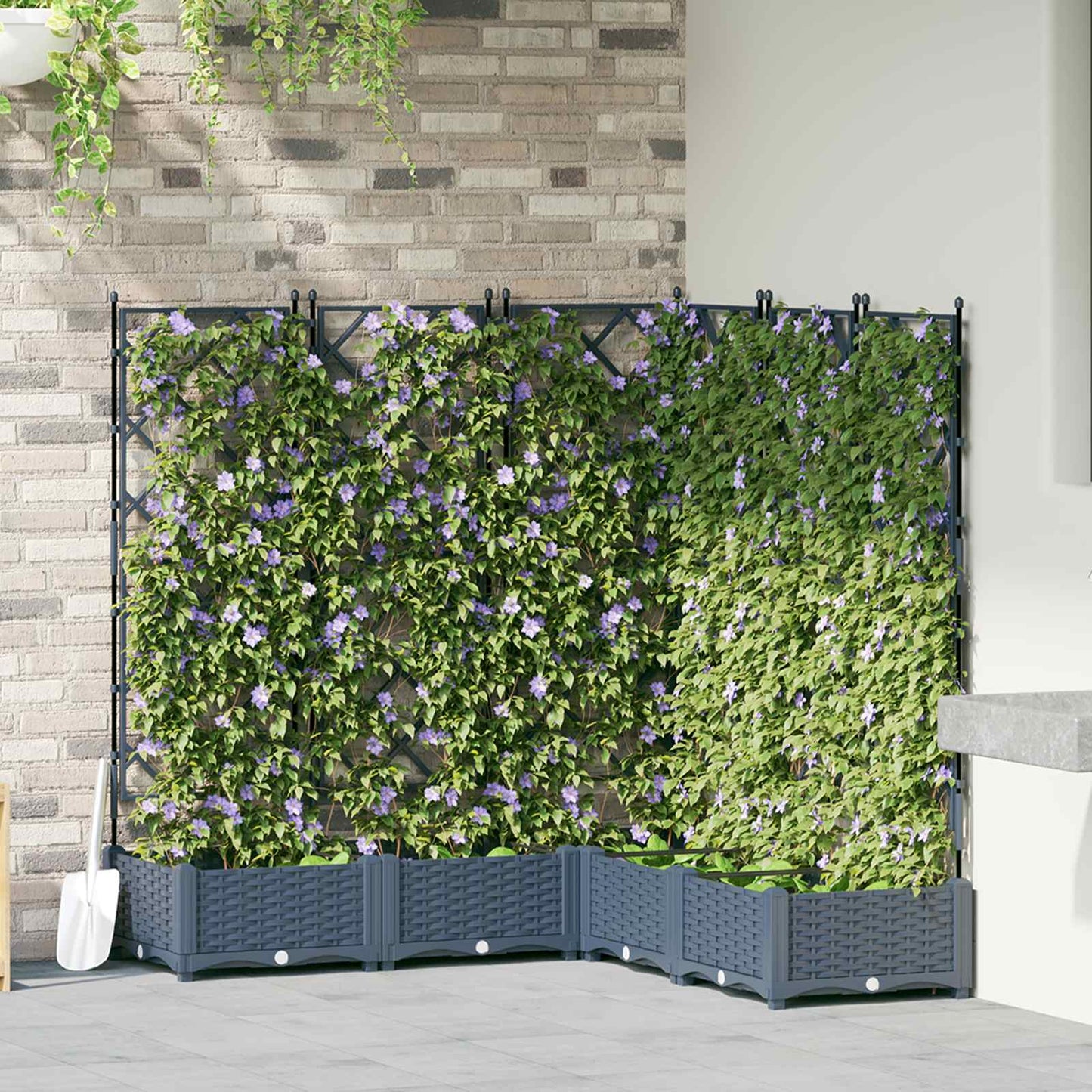 Sodo vazonas 5 pcs Pilka 120 x 120 x 125,5 cm Plastmasė