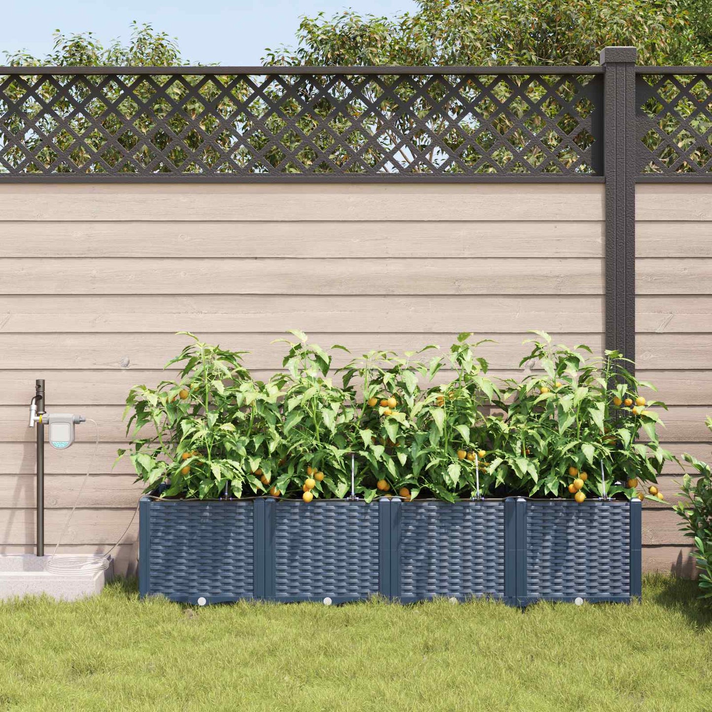 Sodo sodinukai Pilka 160 x 40 x 37.5 cm Plienas