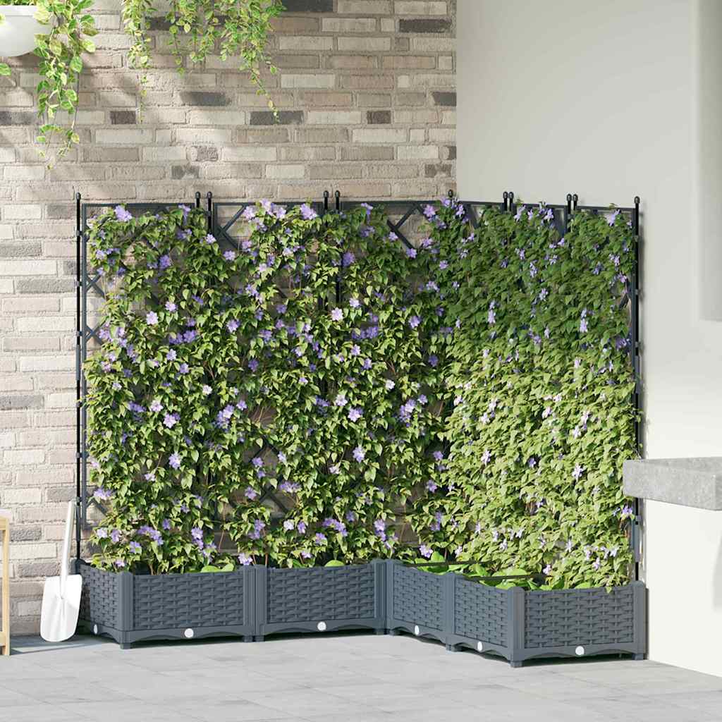 Sodo vazonas 5 pcs Šviesiai Pilka 120 x 120 x 125,5 cm