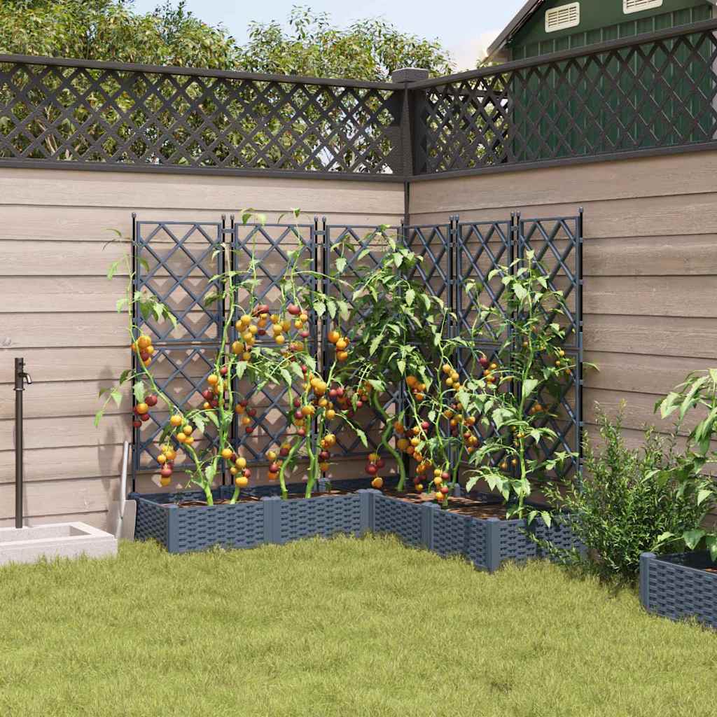 Sodo vazonas 5 pcs Šviesiai Pilka 120 x 120 x 125,5 cm