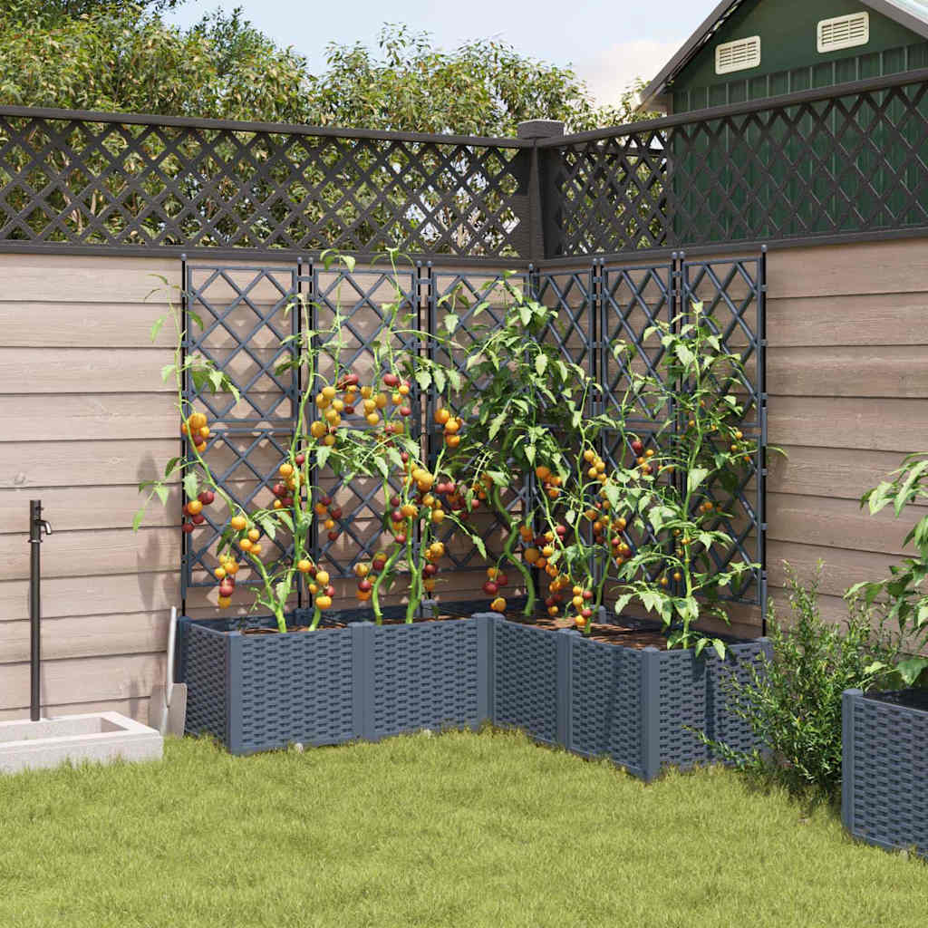 Sodo vazonas 5 pcs Šviesiai Pilka 120 x 120 x 143 cm Plastmasė