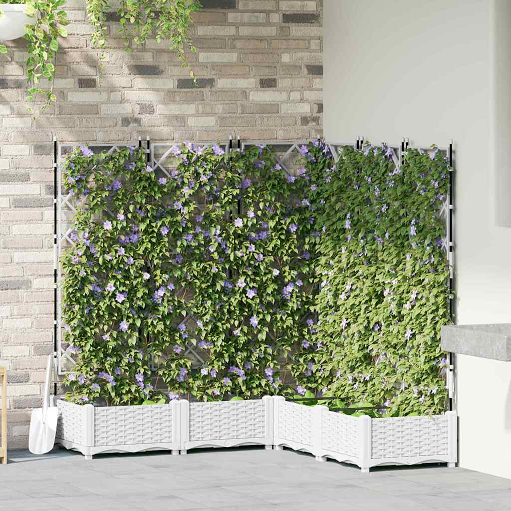 Sodo vazonas 5 pcs Baltas 120 x 120 x 125,5 cm Plastmasė
