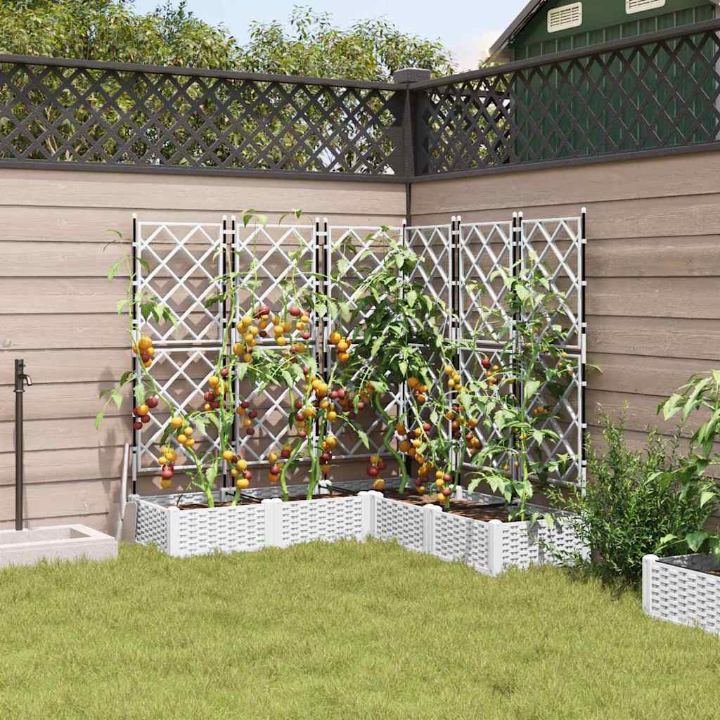 Sodo vazonas 5 pcs Baltas 120 x 120 x 125,5 cm Plastmasė
