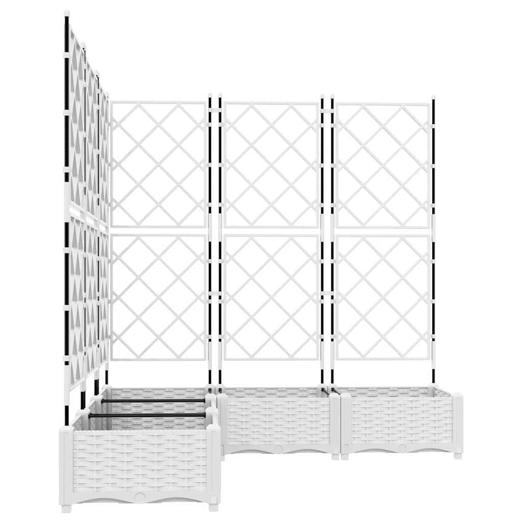 Sodo vazonas 5 pcs Baltas 120 x 120 x 125,5 cm Plastmasė