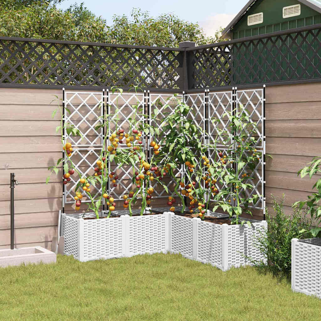 Sodo vazonas 5 pcs Baltas 120 x 120 x 143 cm Plastmasė