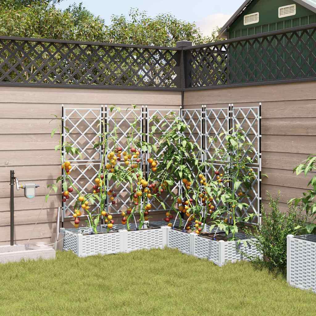 Sodo vazonas 5 pcs Baltas Plastmasė