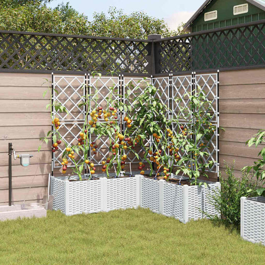 Sodo vazonas 5 pcs Baltas Plastmasė