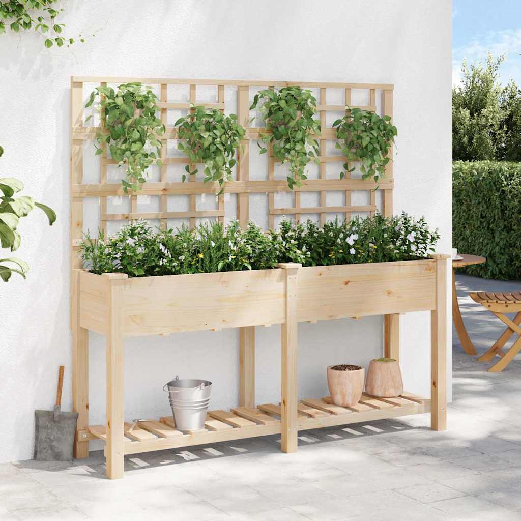 Sodo vazonas Smėlio 161 x 46 x 152,5 cm Kietasis pušinis medis