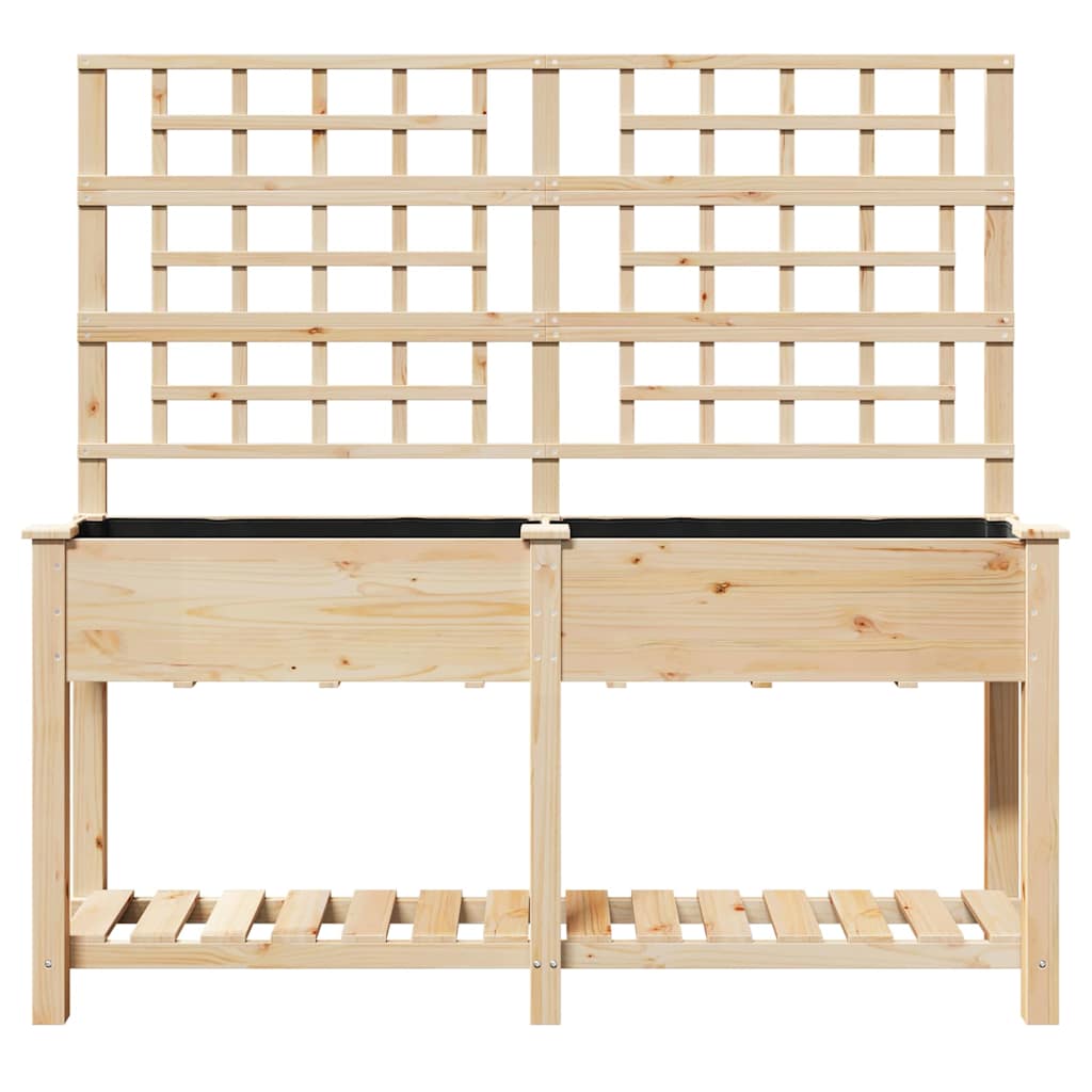 Sodo vazonas Smėlio 161 x 46 x 152,5 cm Kietasis pušinis medis