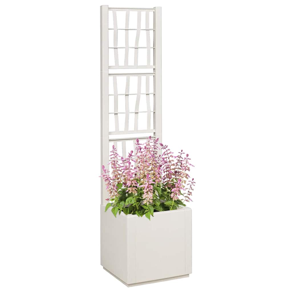 Sodo vazonas Balta 36 x 36 x 140 cm Polipropilenas