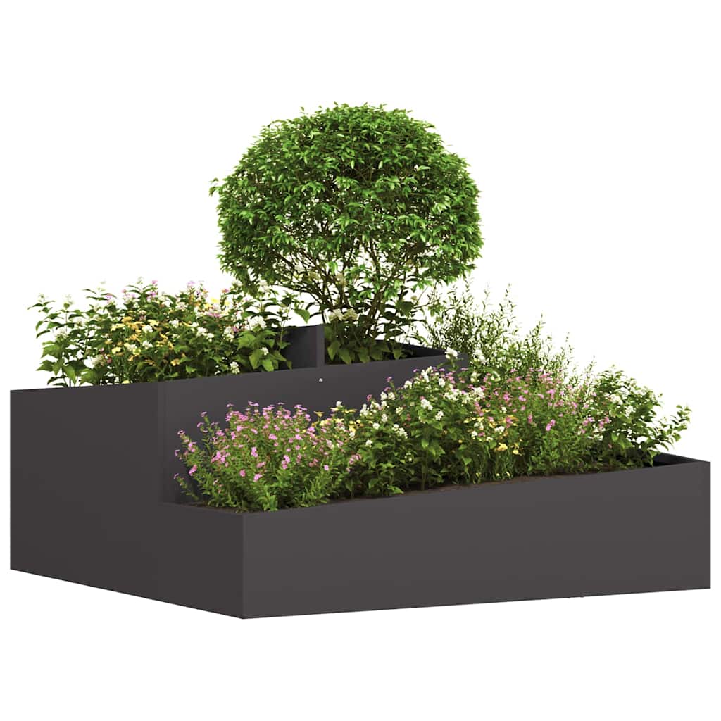 Sodo vazonas Juoda 100 x 100 x 50 cm Šaltai valcuotas plienas