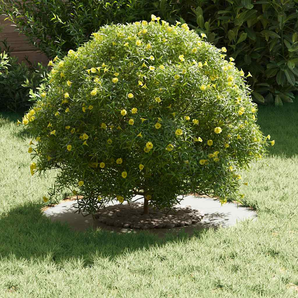 tinkamas plokščiam medžio žiedui Balta Ø30 / 60 cm Plienas