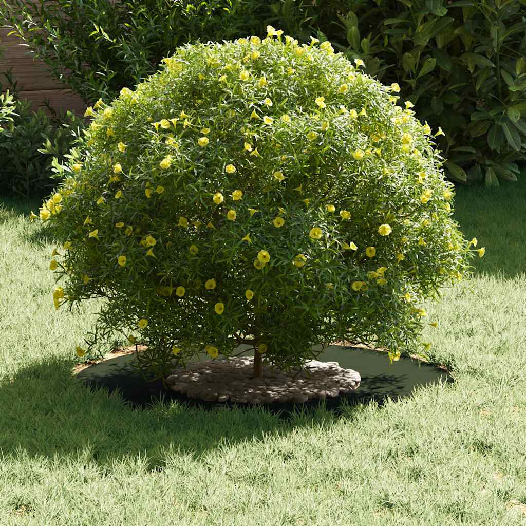 tinkamas plokščiam medžio žiedui Alyvuogių žalia Ø30 / 60 cm